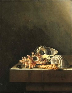 A still life of shells on a marble ledge