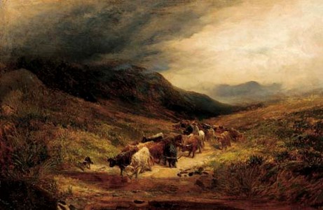 Highland cattle fording a burn