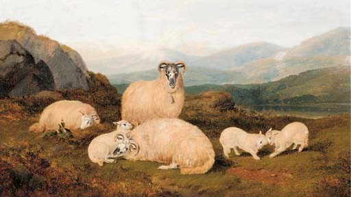 Ewes and lambs in a Highland landscape