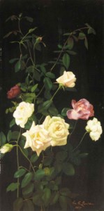 Still Life: Roses II