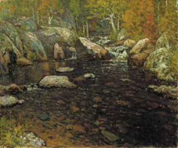 Woodland Pool