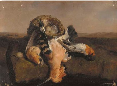 Hoopoes and a nest