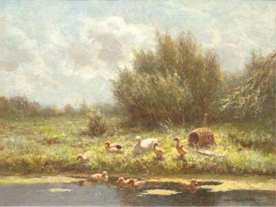 Ducks and ducklings along the waterside