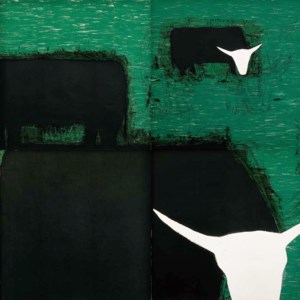 Steers