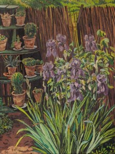 Irisses and cactaceous plants in a garden