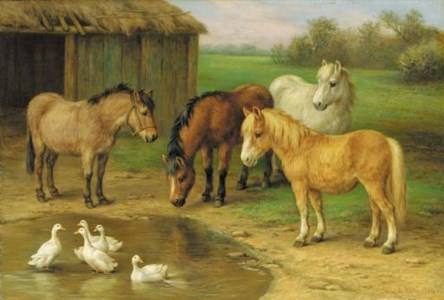 Ponies and geese at a pond