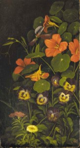 Pansies and Nasturtiums