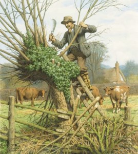 Lopping the Willow (illustrated); and The Village Inn