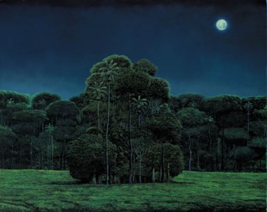 Mogote bajo luz de Luna llena