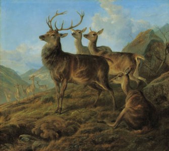 A stag with hinds in a highland landscape