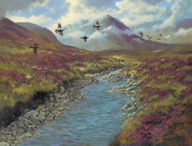 Red Grouse, Buachaille Etive Mor, Argyleshire