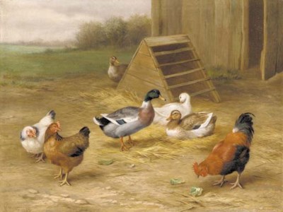 Farmyard friends