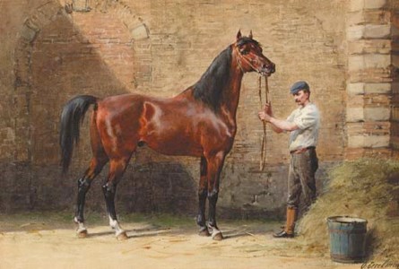 Portrait of an Arab horse