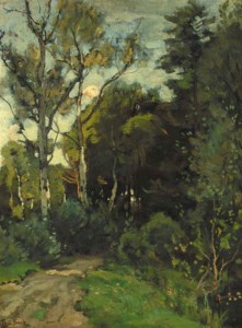A sunlit birch forest