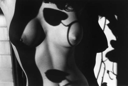 Selected nude studies