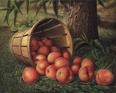 Basket of Peaches