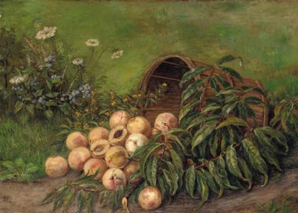 Still Life with Peaches