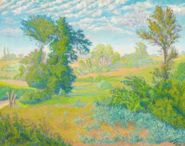 La plaine en été