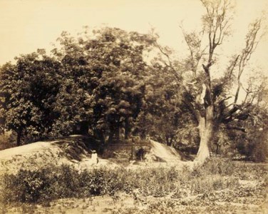 Garden at Secundra (Sikandra)