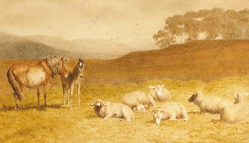 Sheep and ponies resting in an extensive landscape