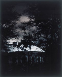 UNTITLED 1983/84