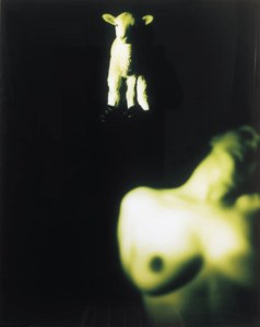 PET THANG 4
