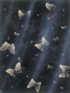 BUTTERFLIES