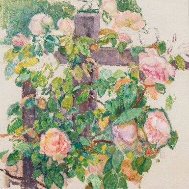 Roses grimpantes