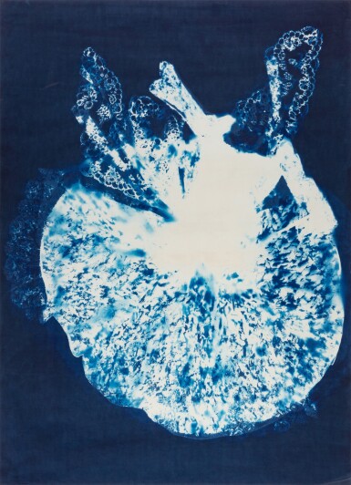 Morgane, (Robe haute Couture de Christian Lacroix), série: Les Apparitions, 1998