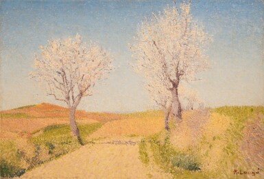 Route aux amandiers en fleurs