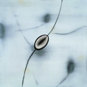 Ovum (Small)