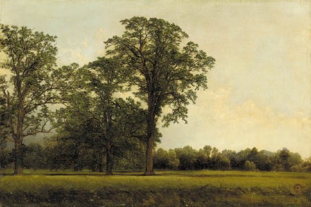 The Spring Field