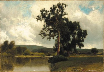 Summer Along the Lake