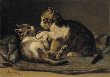 Playful Kittens