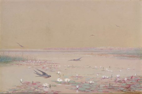Lily Pads and Barn Swallows