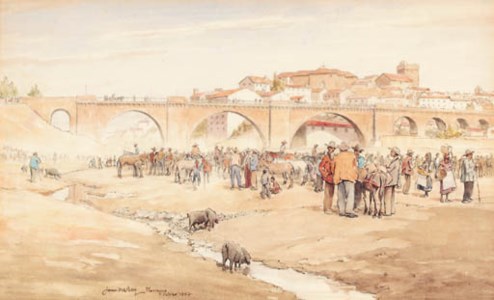 Market Day, Plasencia