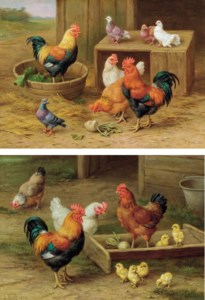 Cockerels, hens and doves in a farmyard; and Cockerels, hens and chicks in a farmyard