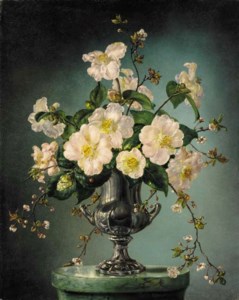 Camellias and Prunus blossom