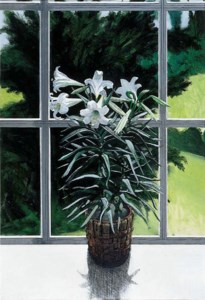 Easter Lillies