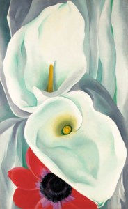 Georgia O'Keeffe, Calla Lillies with Red Anenome