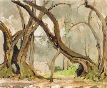 Olives at Rovinia, Corfu