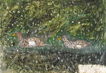 Wildfowl on the North Lake, Tory Island