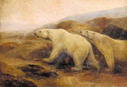 Polar bears at sunset