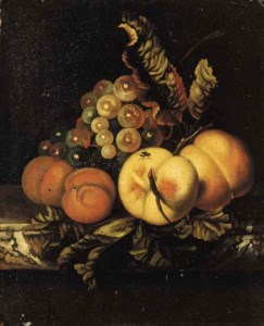 Peaches, apricots and grapes on a marble ledge