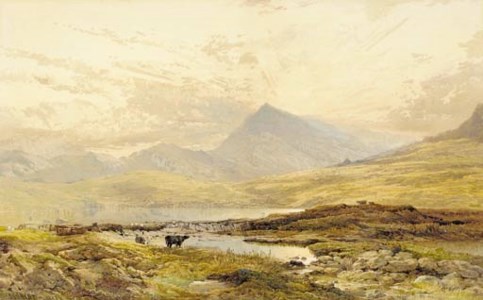 Cattle grazing in a moorland landscape thought to be Rannoch Moor