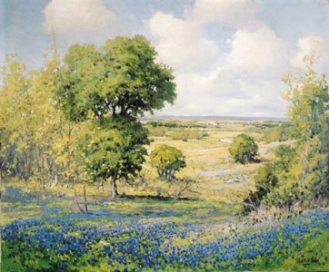 Spring Bluebonnets in Texas