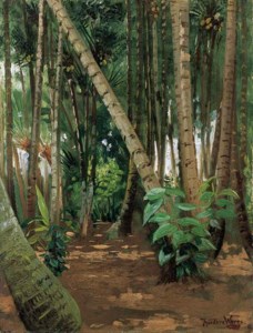 A Coconut Grove