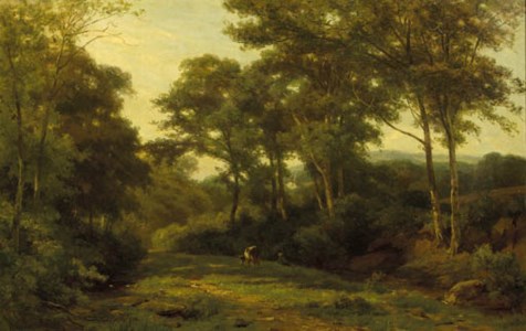 A cow grazing in a forest clearing