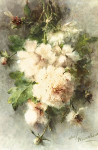Peonies in bloom