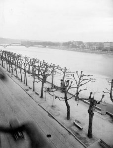 Lyon